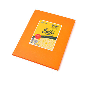 (CUAEXARNAR) CUADERNO EXITO 48 ARAA NARANJA RAY - ARTICULOS ESCOLARES - CUADERNOS