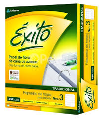 (REPEX480CU) REP EXITO X 480HS CUADRICULADO - ARTICULOS ESCOLARES - REPUESTOS ESCOLARES